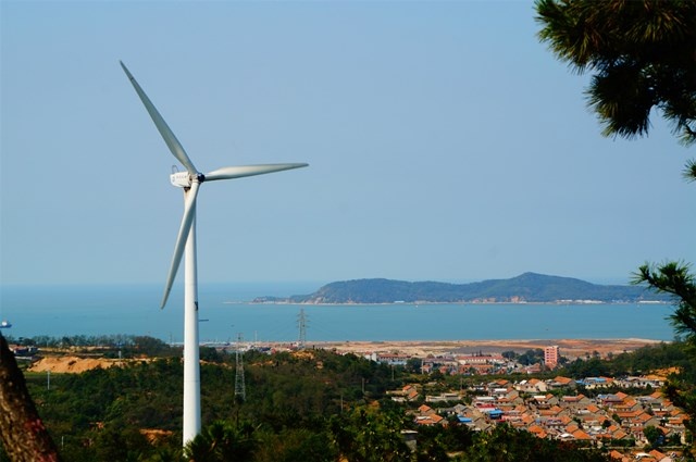 长岛海参和大连海参哪种海参好,长岛海参和大连海参有什么区别