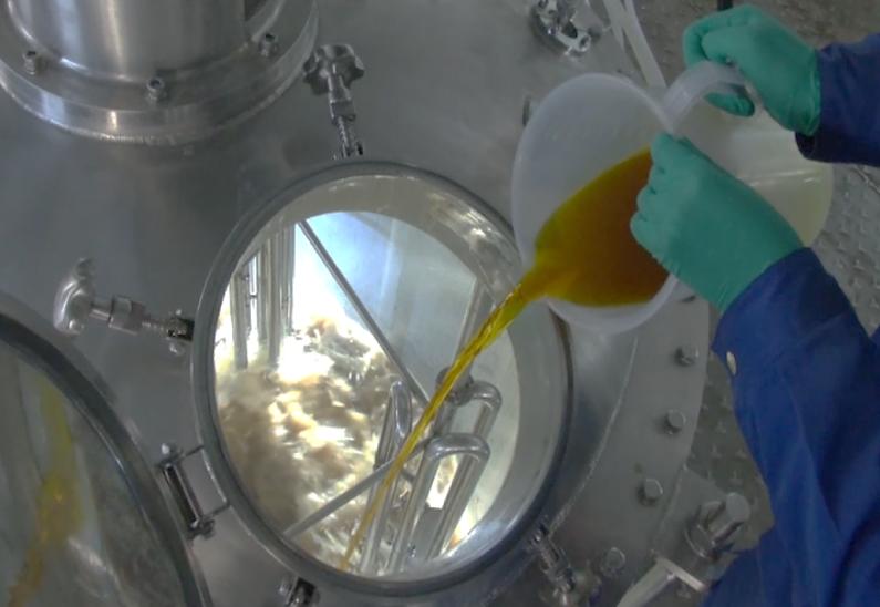 国内合成生物学“泰斗级”学者创办公司，天使轮获红杉种子领投