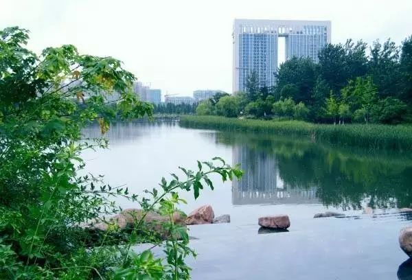 合肥春节免费门票景点,合肥哪些景点过年不要门票