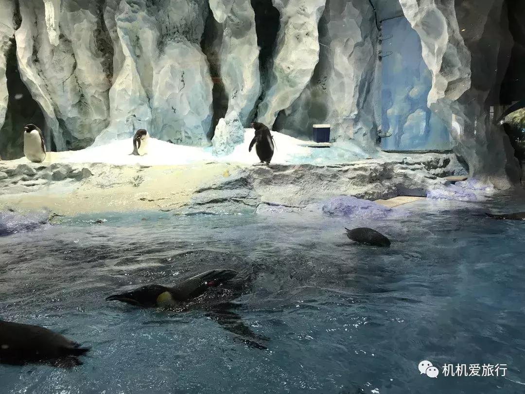 珠海和广州长隆旅游攻略,珠海长隆乐园游玩攻略