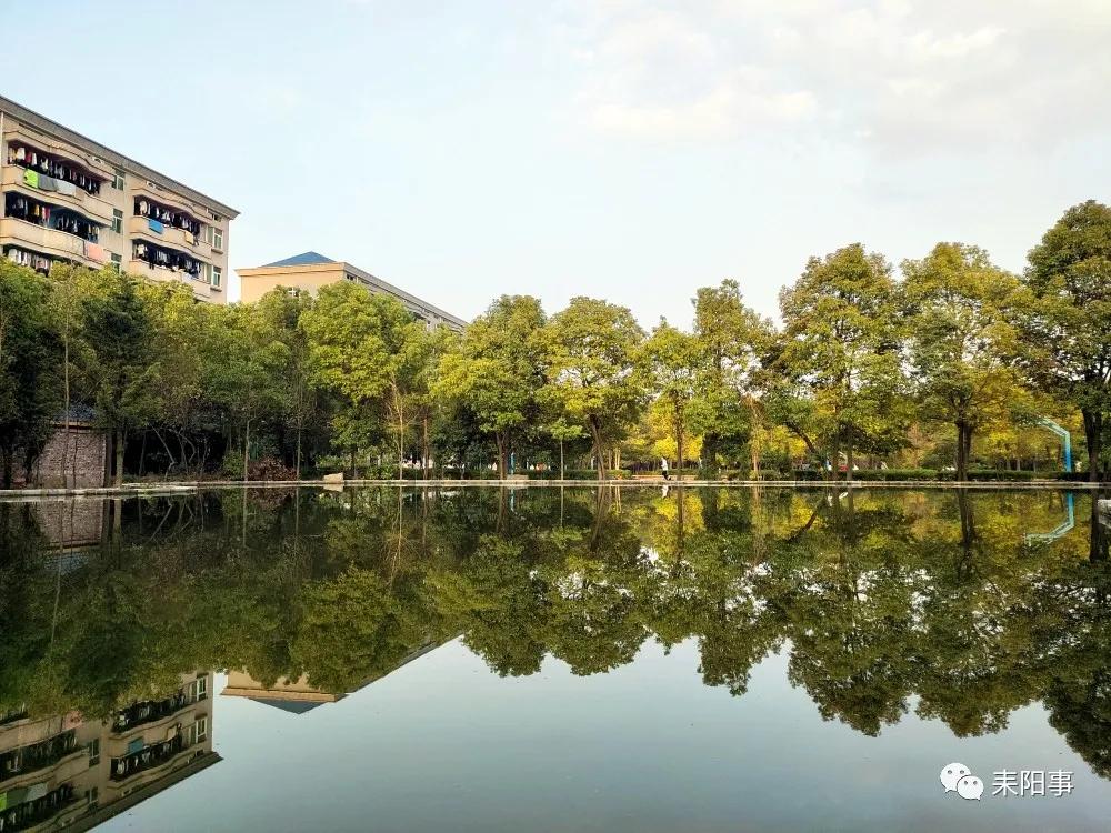 迎接校园里的百花齐放,教室窗外百花齐放