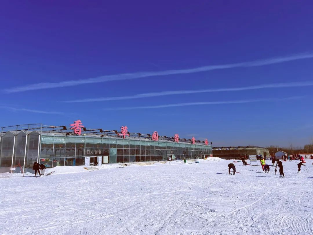 济南卧虎山滑雪场门票多少钱,济南滑雪场滑雪攻略