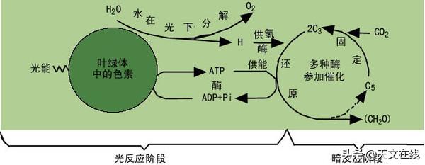 离地球多少米高空就没有氧气了,如果地球没有氧气5秒会怎么样