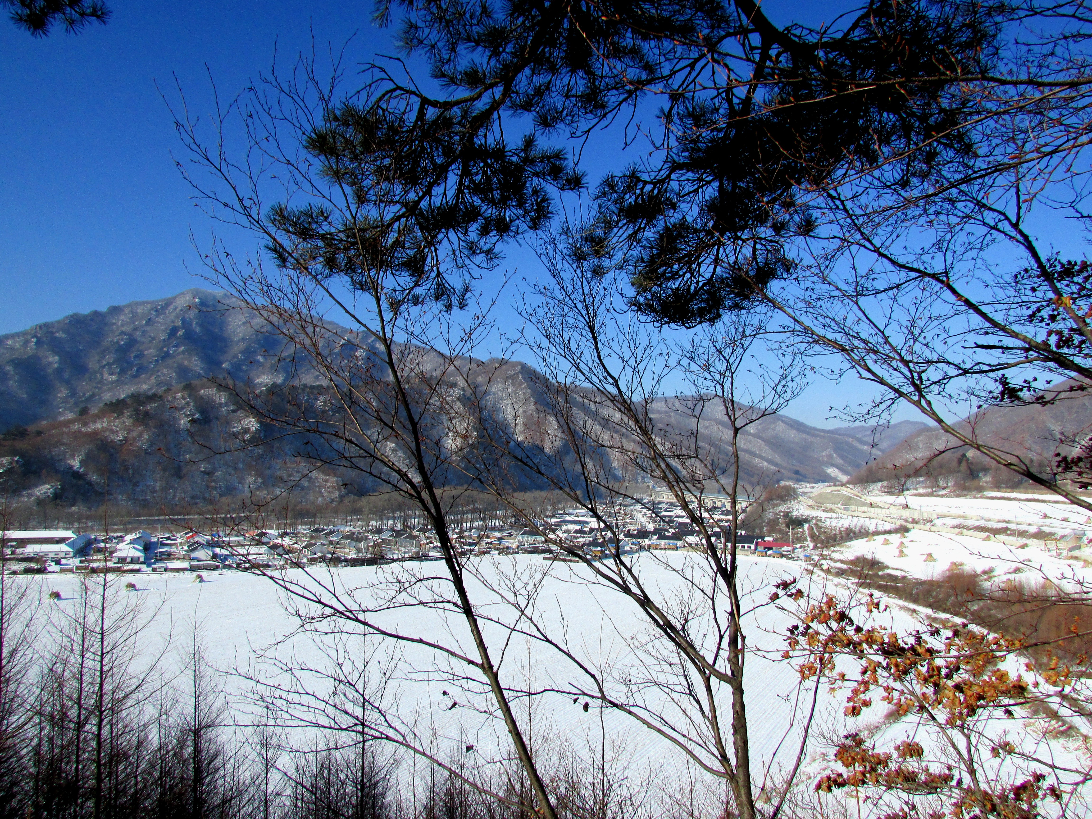 本溪湖里村冬季景色,本溪湖里村景色视频