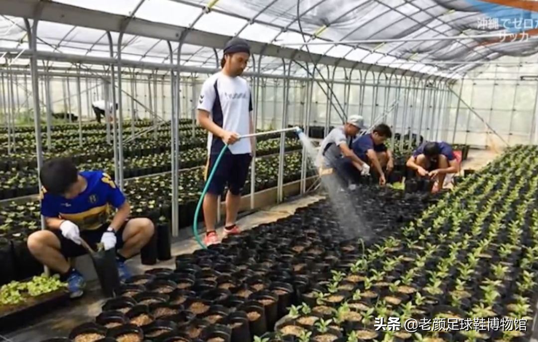 日本高中足球联赛十佳球,日本高中足球联赛第100届精彩集锦