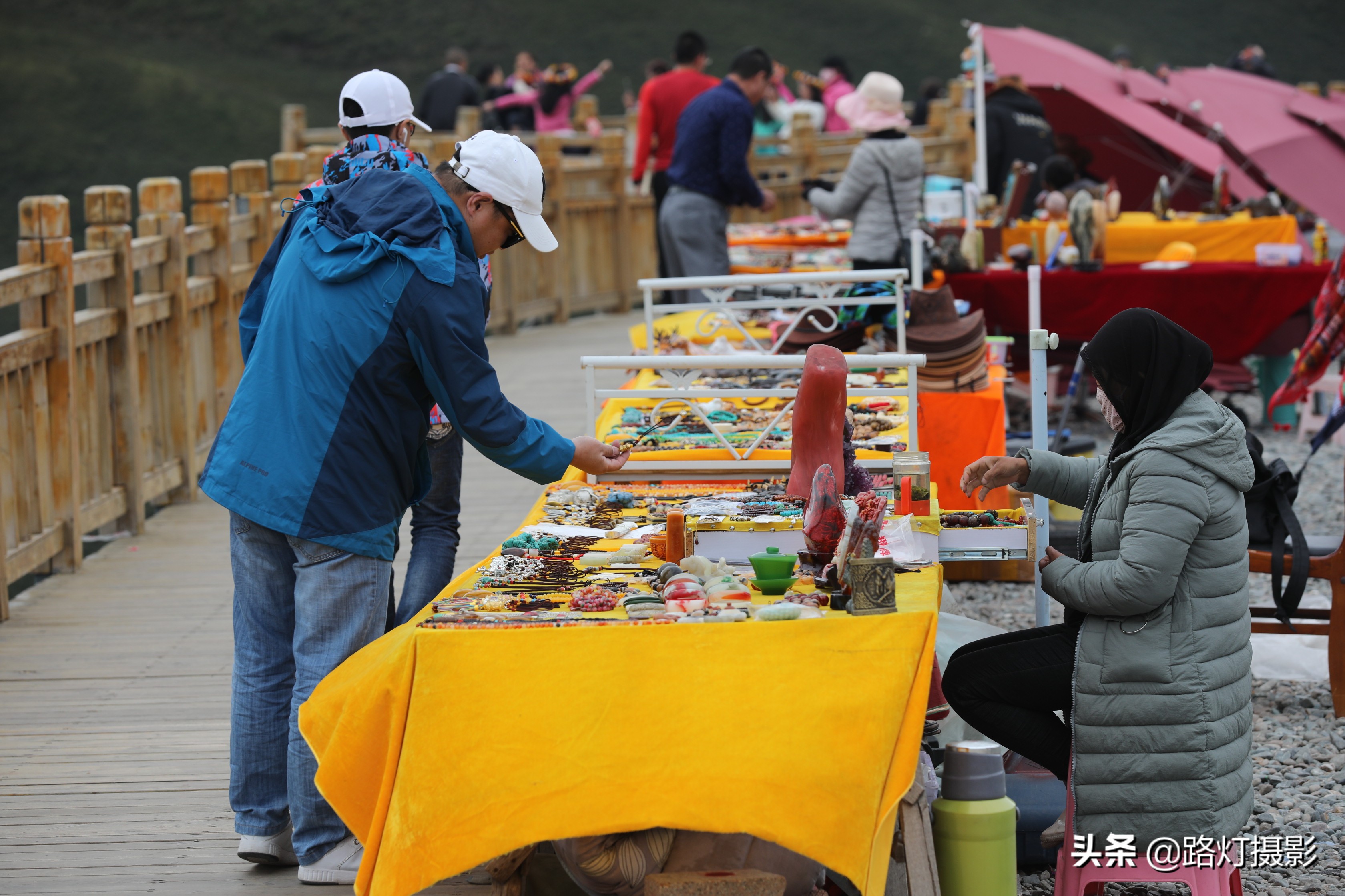 草原美丽的花海风景视频,青海花海旅游景区