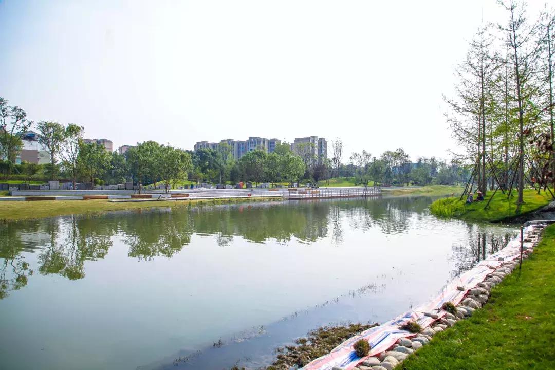 藏不住的双流,双流8500亩城市湿地公园