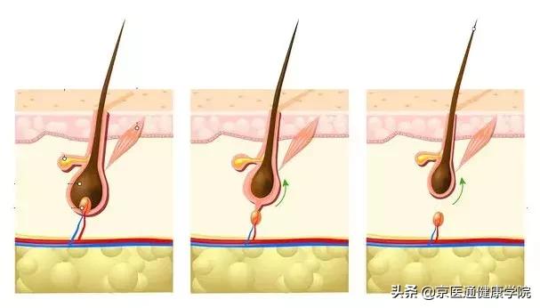 头发出油脱发可以天天洗头吗,每天洗头头皮出油有异味