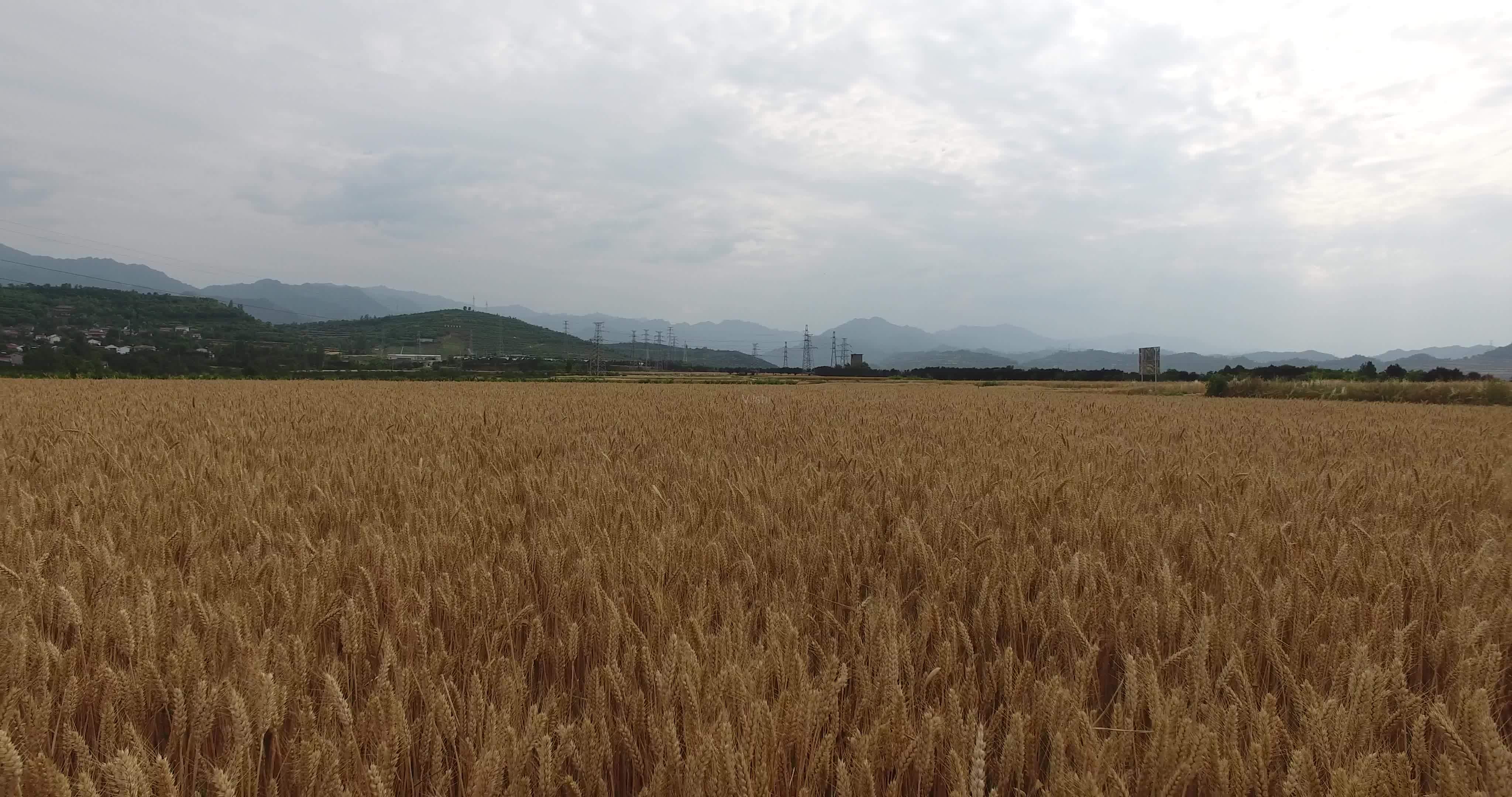 河北保定杀人案吴建臣,吴建臣连环杀人案件侦破纪实