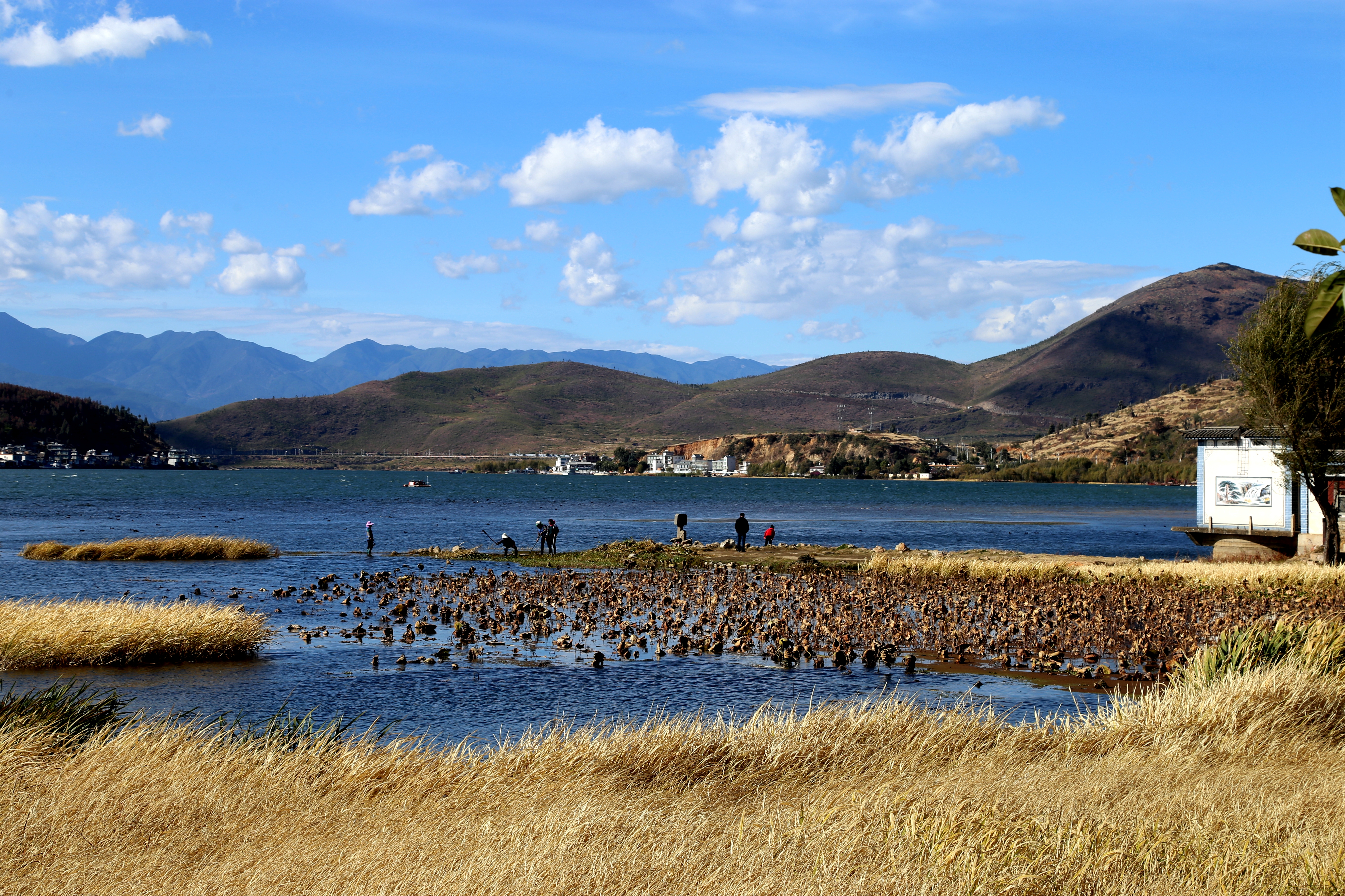 洱海值得去的地方,洱海真正值得去的地方