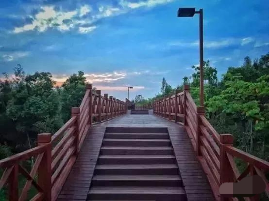 厦门香山有什么风景,厦门翔安必去8个景点香山