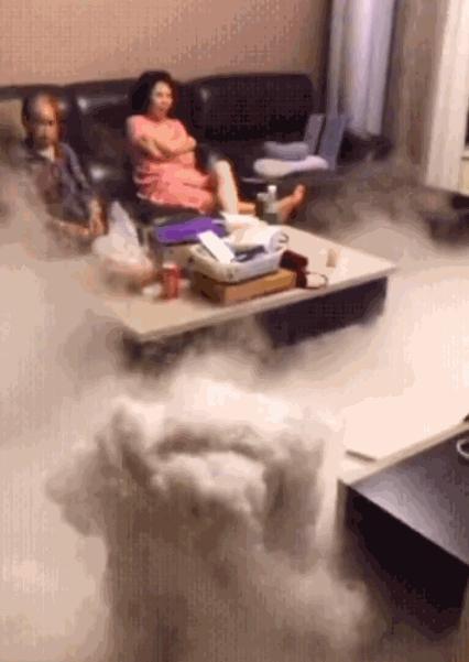 韩国加湿器致死事件原因 (韩国加湿器致死事件是真的吗)