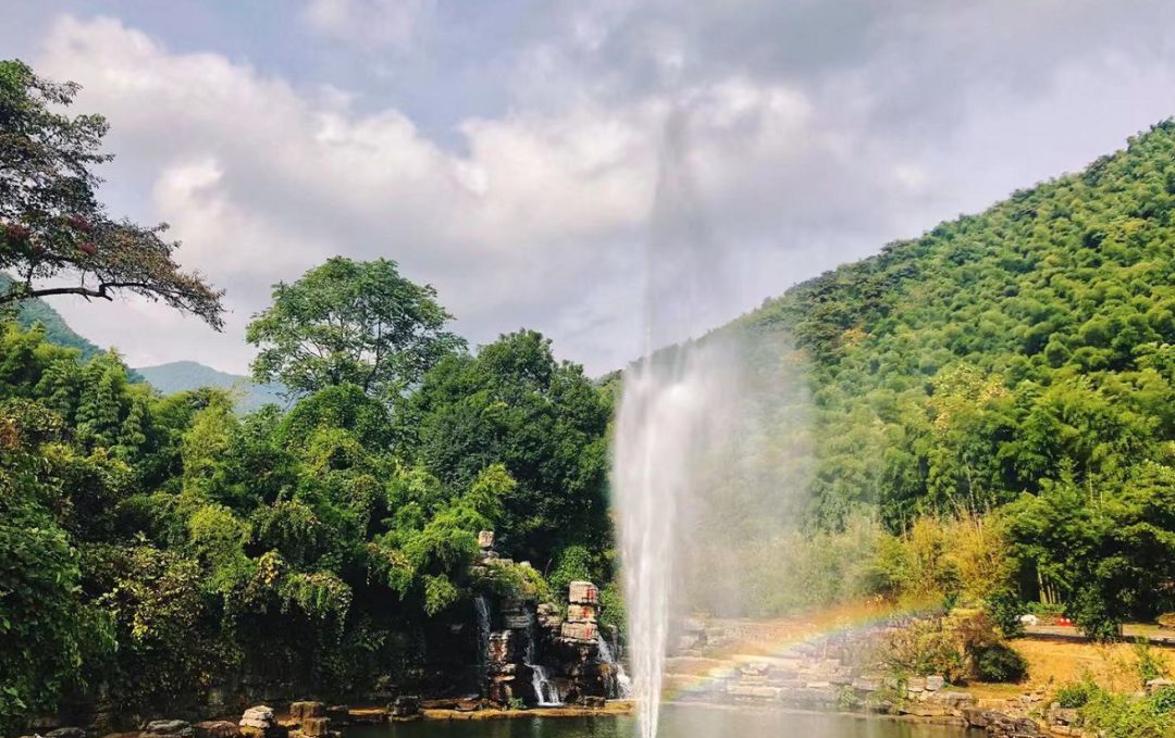 如果有来生，我要做宜兴竹海的一棵竹