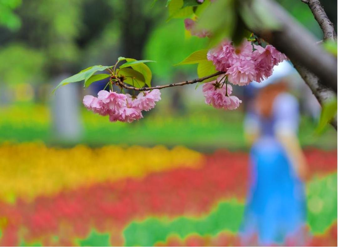 一首春歌原唱完整版,关于春歌的诗词