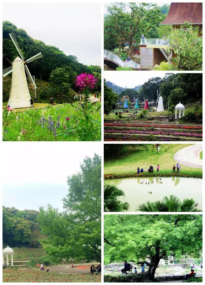 广州自驾团队,广州团队定制旅游