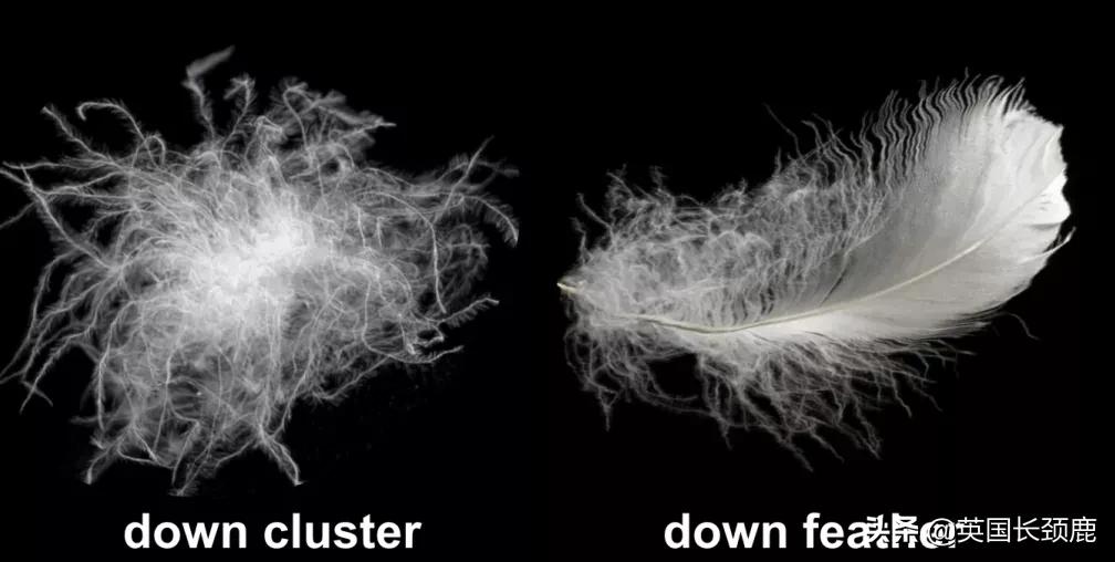 英国的天气适合穿什么样的羽绒服,英国降温最新消息
