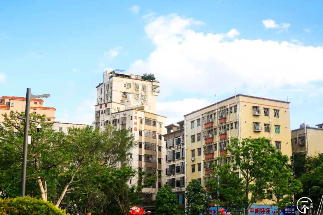 深圳桥头美食一条街在哪,深圳桥下特色美食