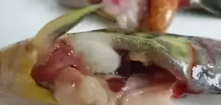 皇冠鱼烂身病怎么治疗,鱼烂身最佳治疗方法