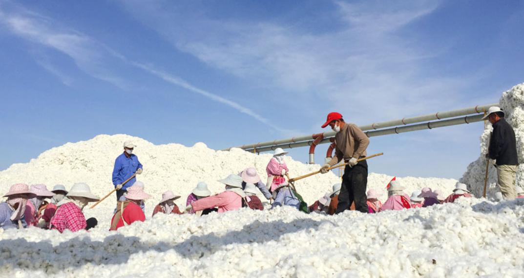 国货毛巾品牌,创业7年一路走来