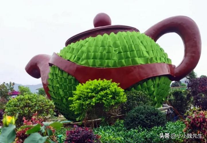 珠海有没有比较好的景点,珠海最漂亮群岛