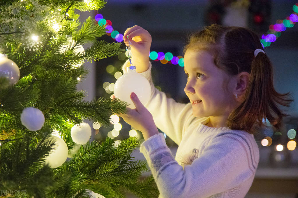 刺猬原则是什么意思,刺猬原则的意思