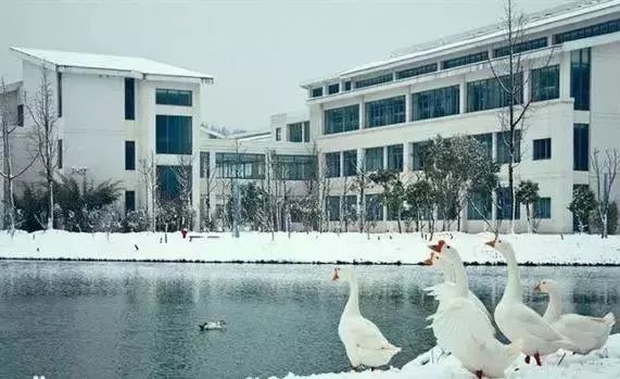 苏州工艺美院,苏州工艺美院代码