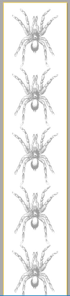 fastreport报表编程,fastreport报表制作