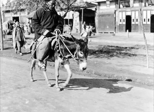 江浙沪民国照片 (民国流氓照片)