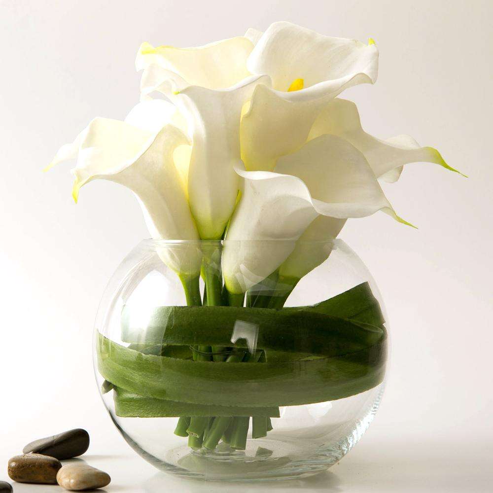 马蹄莲怎么养可多开花,马蹄莲怎么养才能多开花