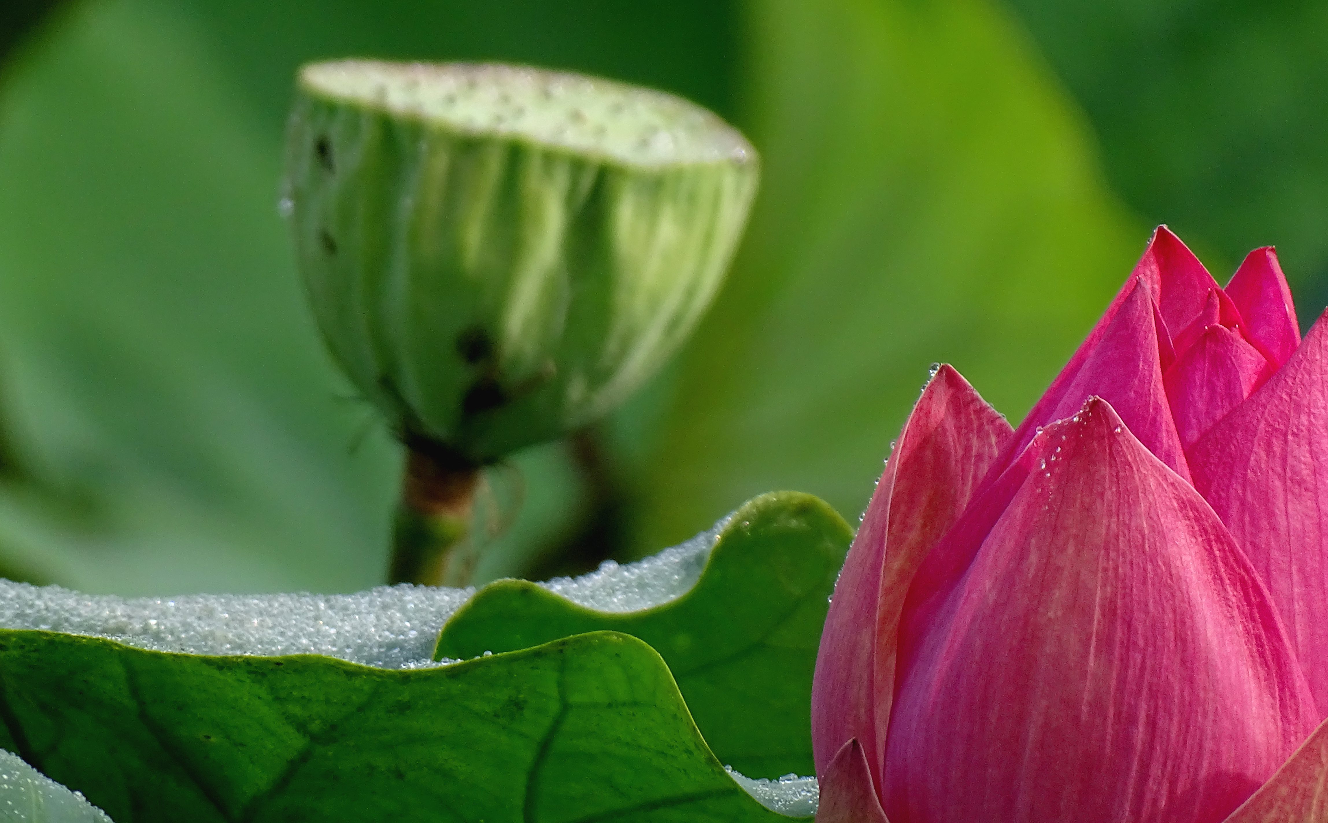 索尼dsc-hx400拍飞机效果,索尼dsc-hx400照片调色