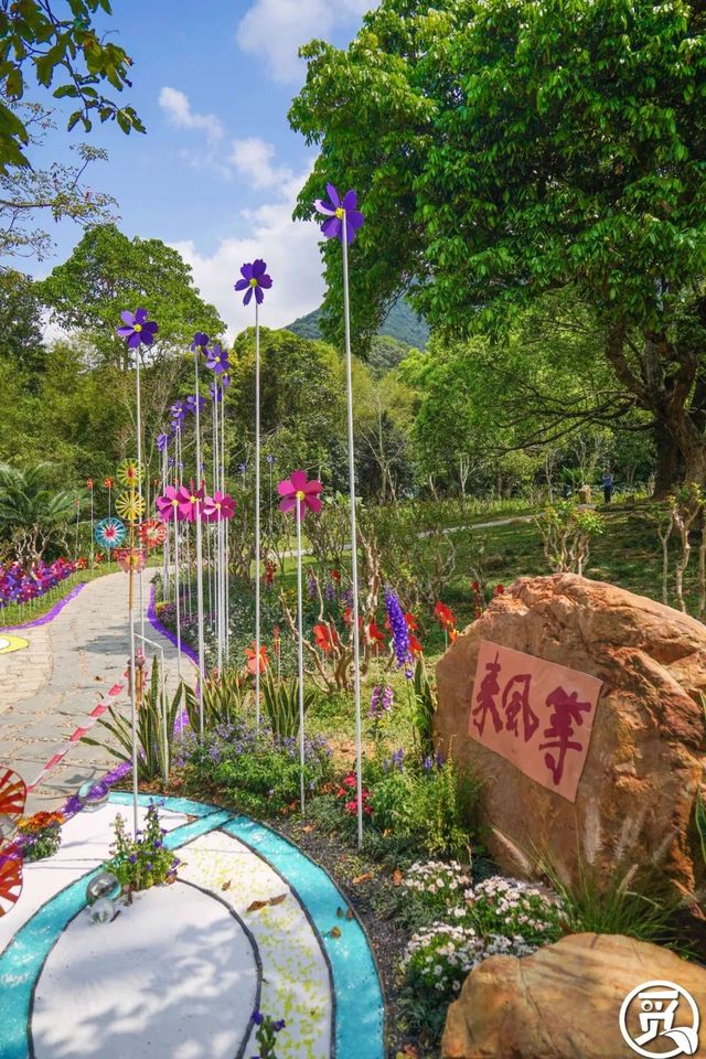 深圳史上最大最美的花展来啦,走进深圳仙湖植物园的国际花展