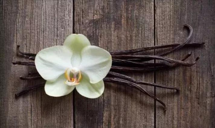 奶粉中含有香兰素有什么影响,奶粉的香兰素对宝宝有影响吗