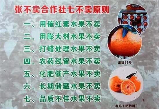 做好四篇特色文章,做好三农文章