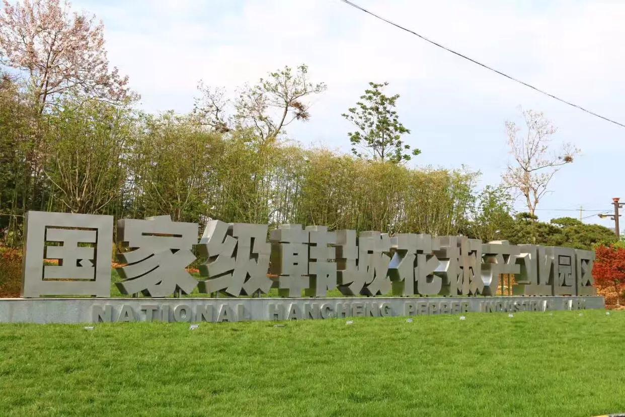 陕西韩城高山大红袍花椒,韩城大红袍花椒谁规划的