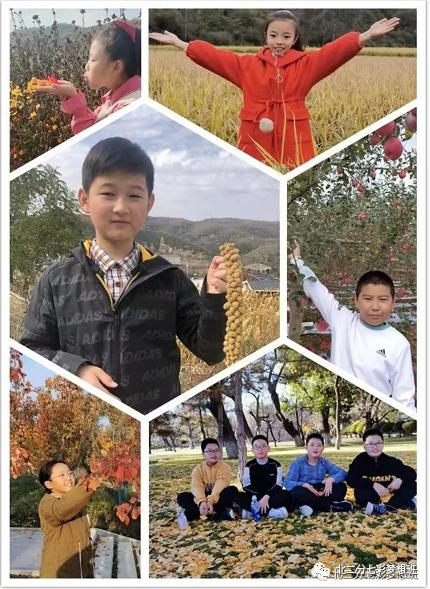 谱和谐之曲走奋进之路——延新一小五年级七班和谐团队申报专题