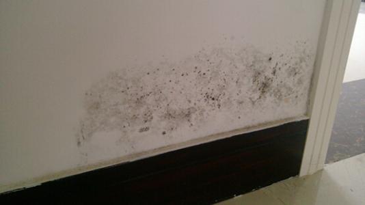 墙面刮腻子怎么比较平,墙面刮腻子怎么才能不掉灰