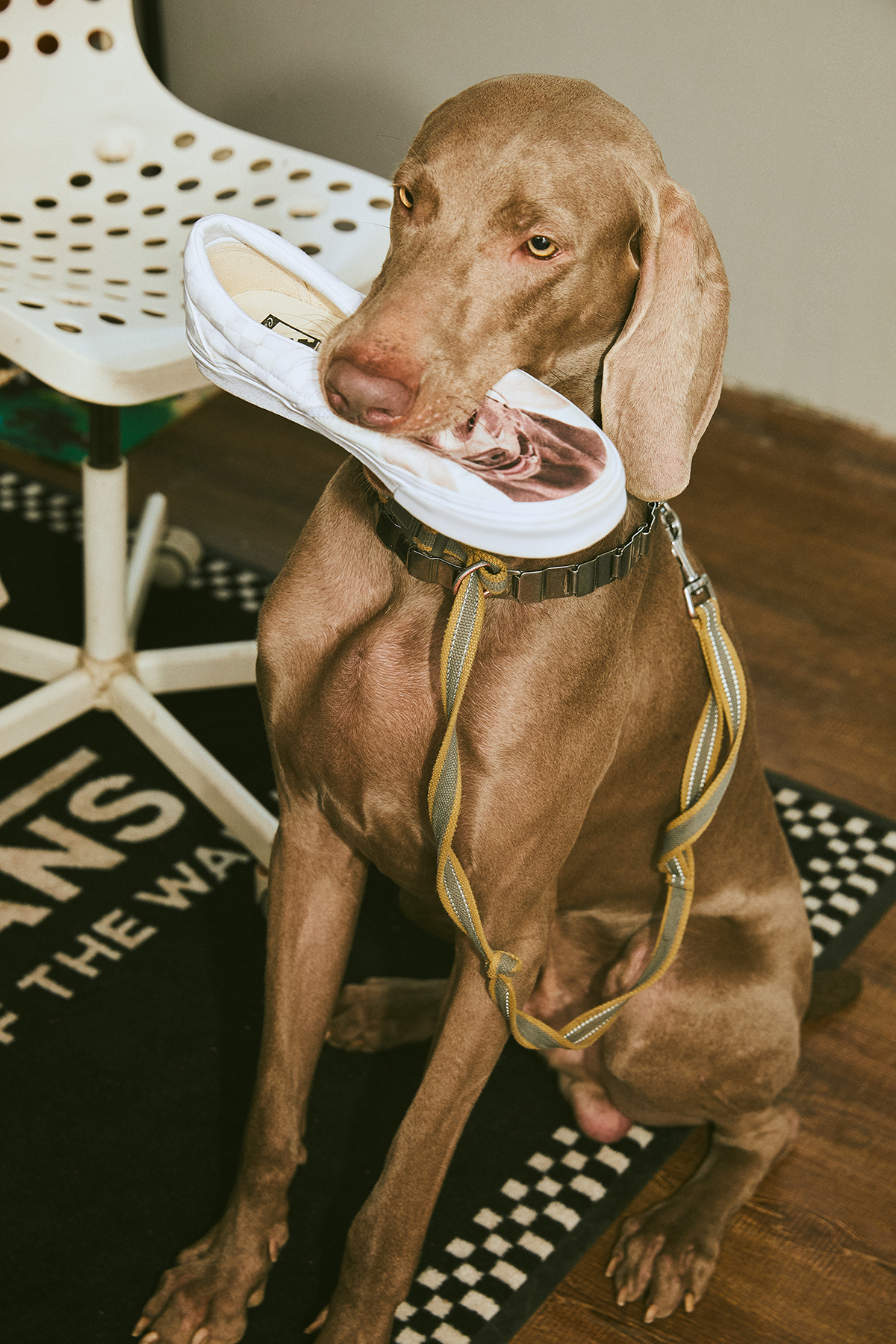 vans有话说,vans的高帮鞋好难穿