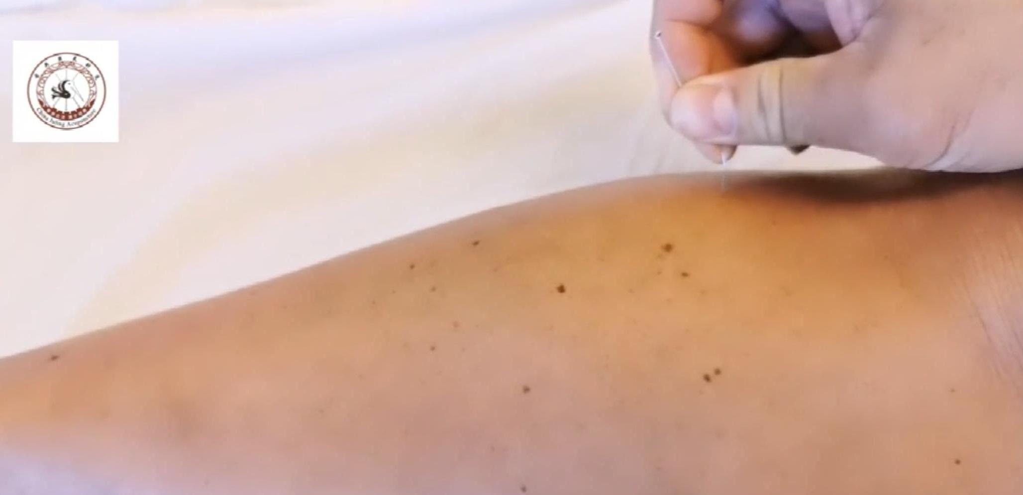 水浅不养龙水寒不藏龙,水浅不藏龙