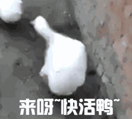 妇科专家：产后正确避孕的5种方法，看看你适合哪种？