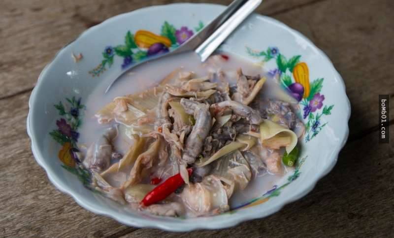 不经意间便能颠覆海洋战争的局势，船蛆小小身体却有大能量