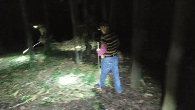 身披铠甲的土肥圆,土鳖不是形容词,而是餐桌上100一斤的美食