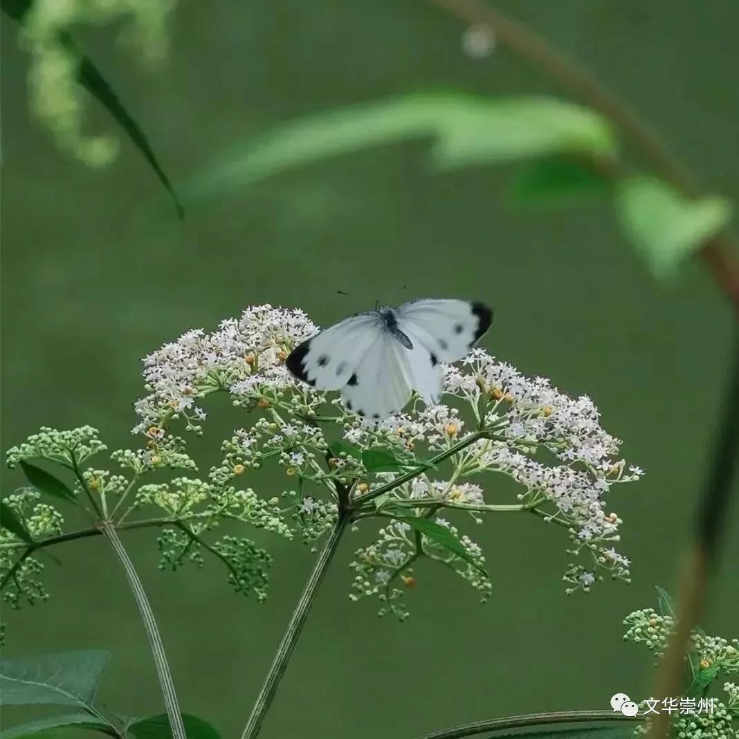 依山傍水,到“历空山·道明”感受世外桃源