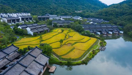 惠州旅游休闲度假的好地方,惠州宝藏民宿