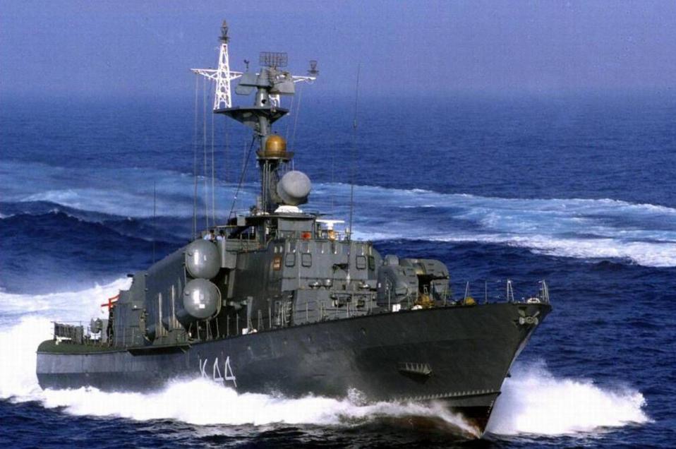 毒蜘蛛巨无霸,真正的毒蜘蛛