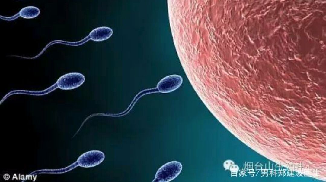 想要宝宝的话应该怎么做,有宝宝都需要做什么