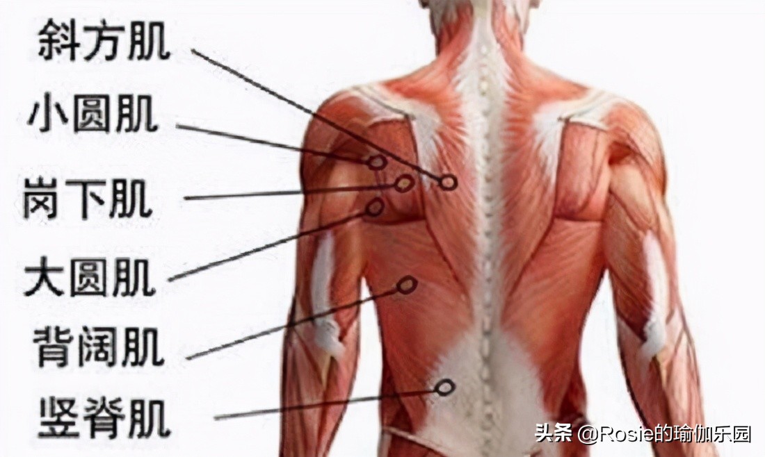 关晓彤甜蜜暴击美照,鹿晗卡点为关晓彤庆生