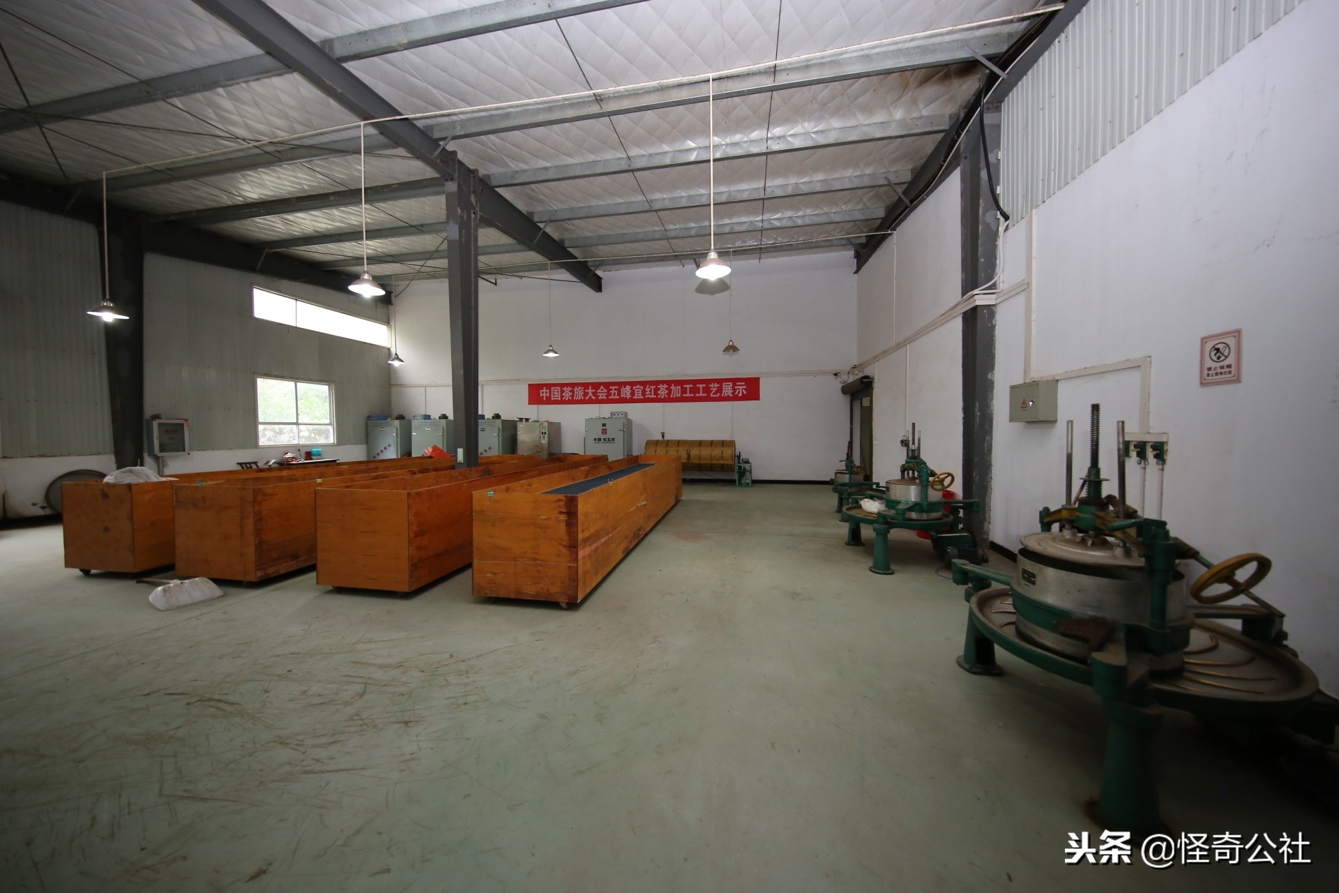 五盖山云雾贡茶历史渊源,高山云雾茶五指山红茶特点