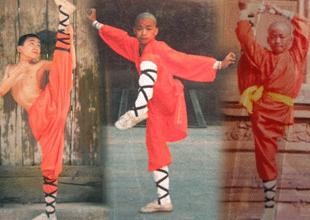 章子怡和王宝强对撤侨令的感受,撤侨令王宝强完整版西瓜视频