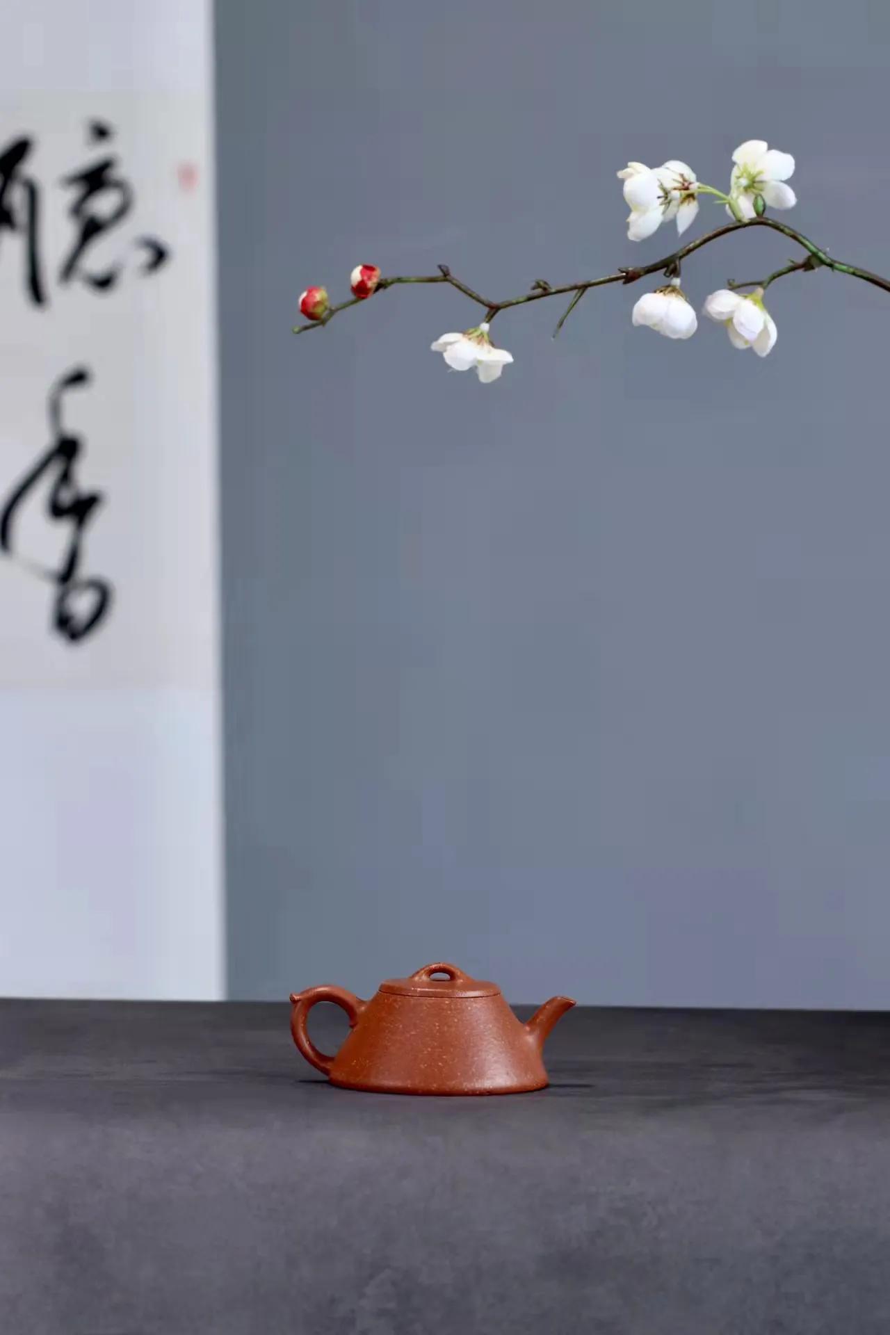 逸瓢制作视频,逸瓢紫砂壶靠谱吗