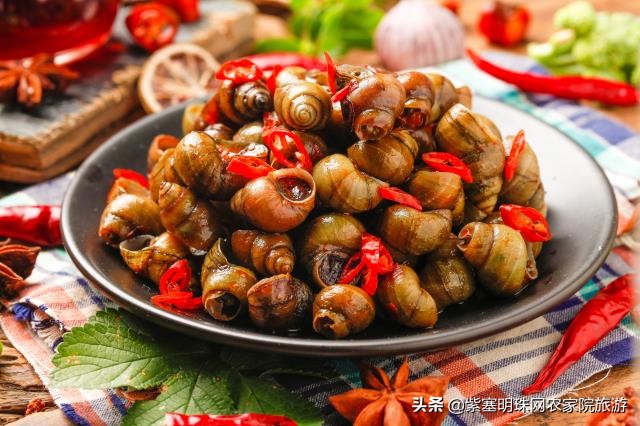 真正吃农家饭的蓟县农家院,天津蓟县梨木台农家院攻略